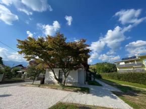 Apartma Jana